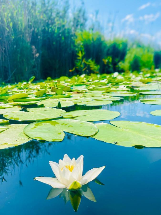 ホテル Danube Delta View Dunavăţu de Jos エクステリア 写真